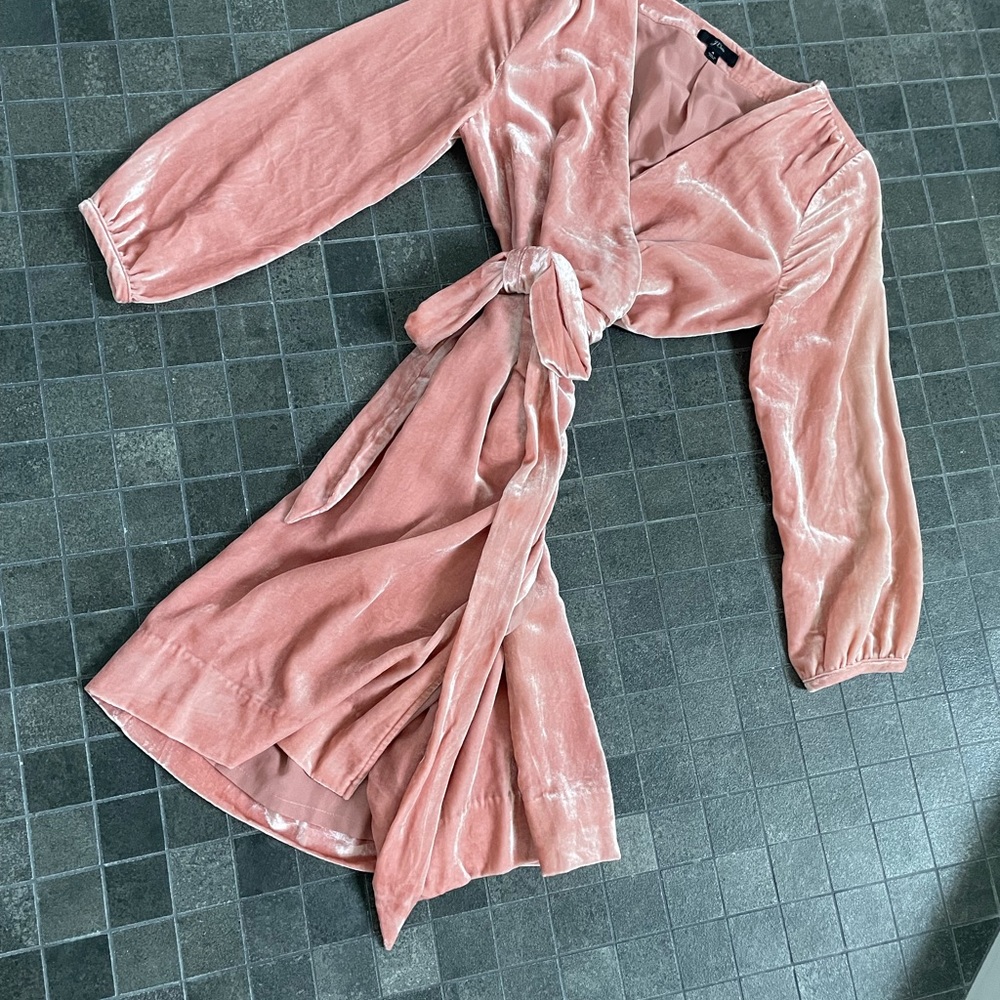 Blush velvet beyond fab Nicole Miller dress